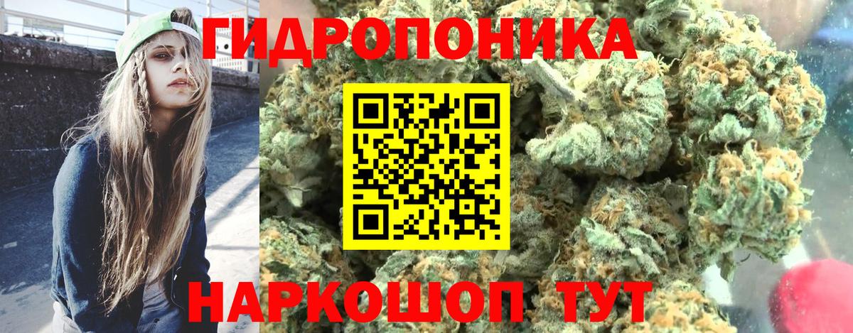 Бошки Шишки гибрид  Канабис MAZAR  Губаха  Вход с VPN  Каннабис планчик 